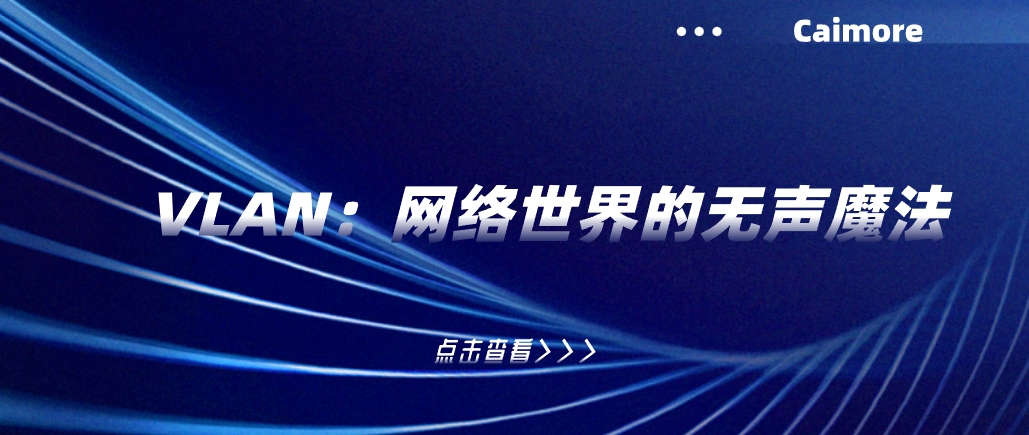 VLAN：网络世界的无声魔法